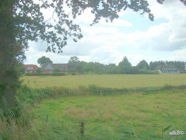 Birkrand
