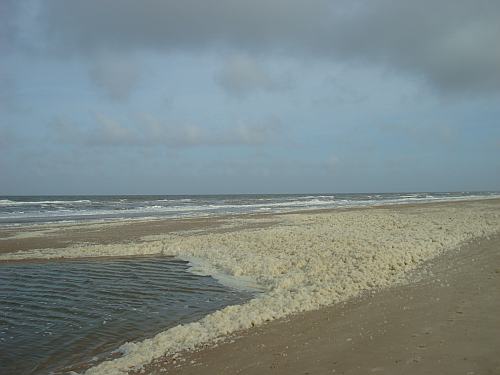 Seeschaum