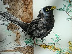 Vogel