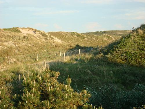 Dnenradweg
