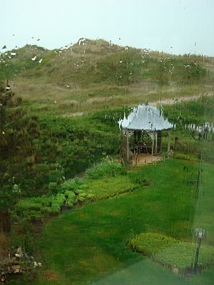 BlicK in den Garten