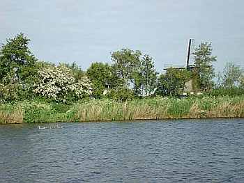 Uferlandschaft