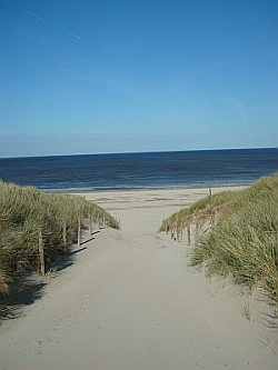 Dnenblick