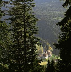 Forsthaus