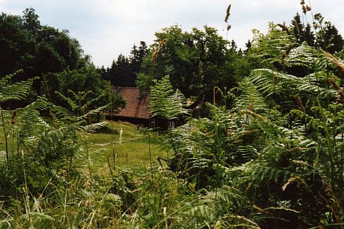 Blick auf Grnhtte