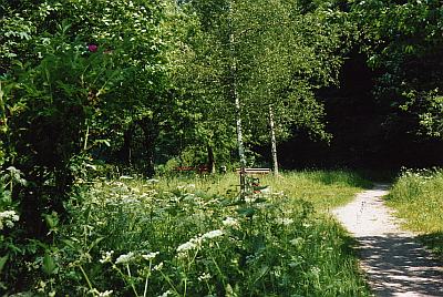 Wiesenweg