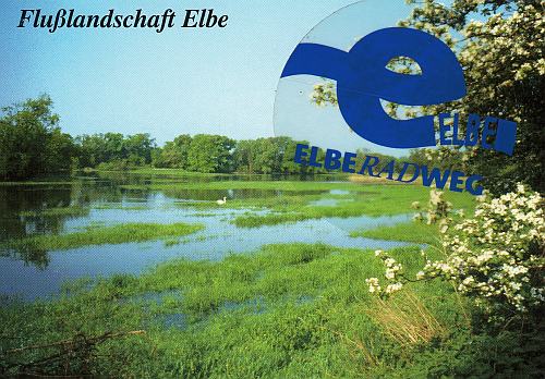 Flusslandschaft Elbe